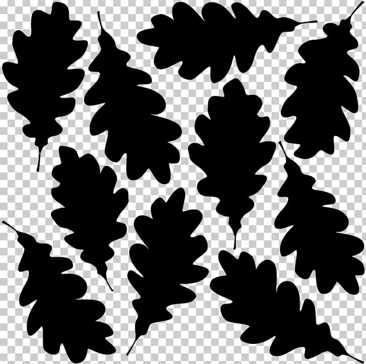 Silhouette Oak Leaf Cluster PNG, Clipart, Acorn, Animals, Black And White, Branch, Flowering Plant Free PNG Download