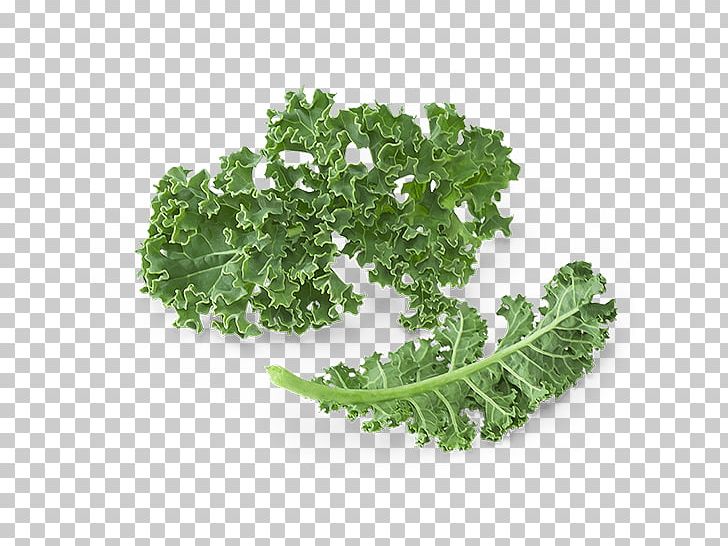 Smoothie Juice Kale Leaf Vegetable Food PNG, Clipart, Brassica Oleracea, Collard Greens, Food, Food Drinks, Fotosearch Free PNG Download