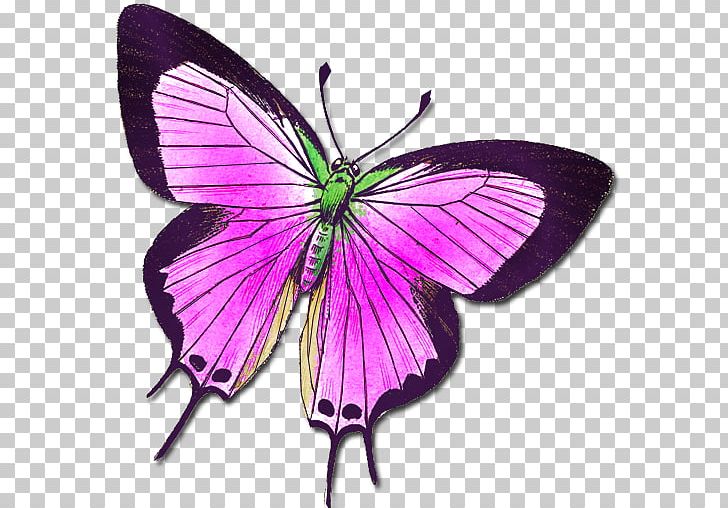 Butterfly Insect Animal Moth PNG, Clipart, Animal, Arthropod, Brush Footed Butterfly, Butterflies And Moths, Butterflies Are Free Free PNG Download