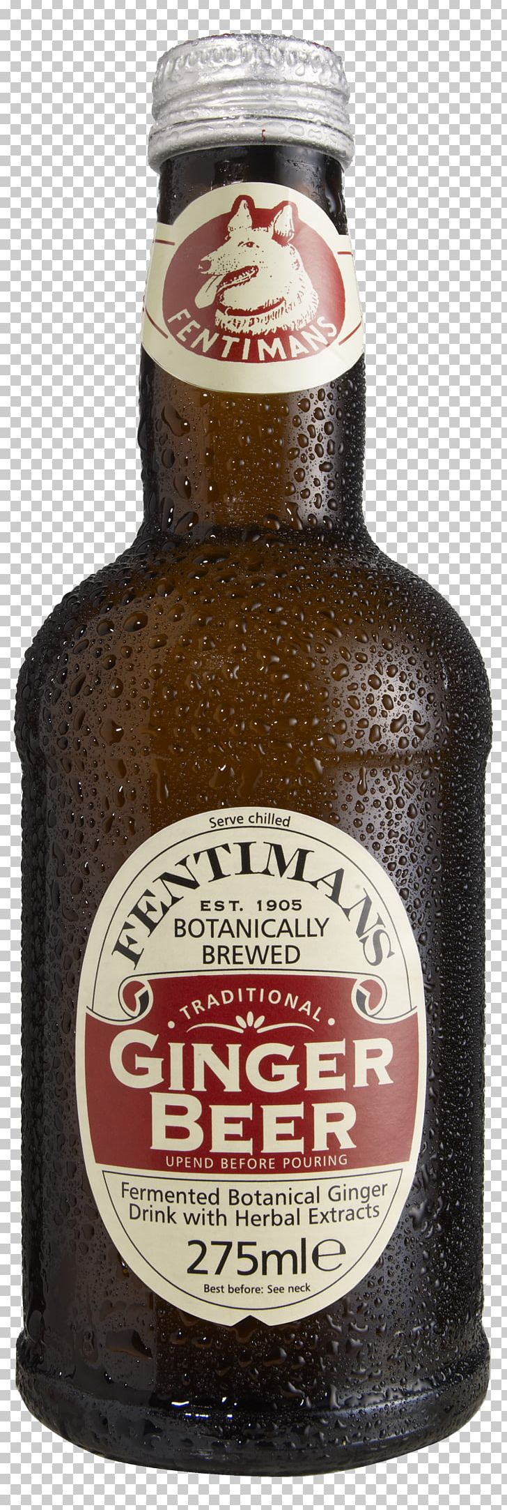 Ginger Beer Fizzy Drinks Drink Mixer Lemonade PNG, Clipart, Ale, Beer, Beer Bottle, Beer Brewing Grains Malts, Bottle Free PNG Download