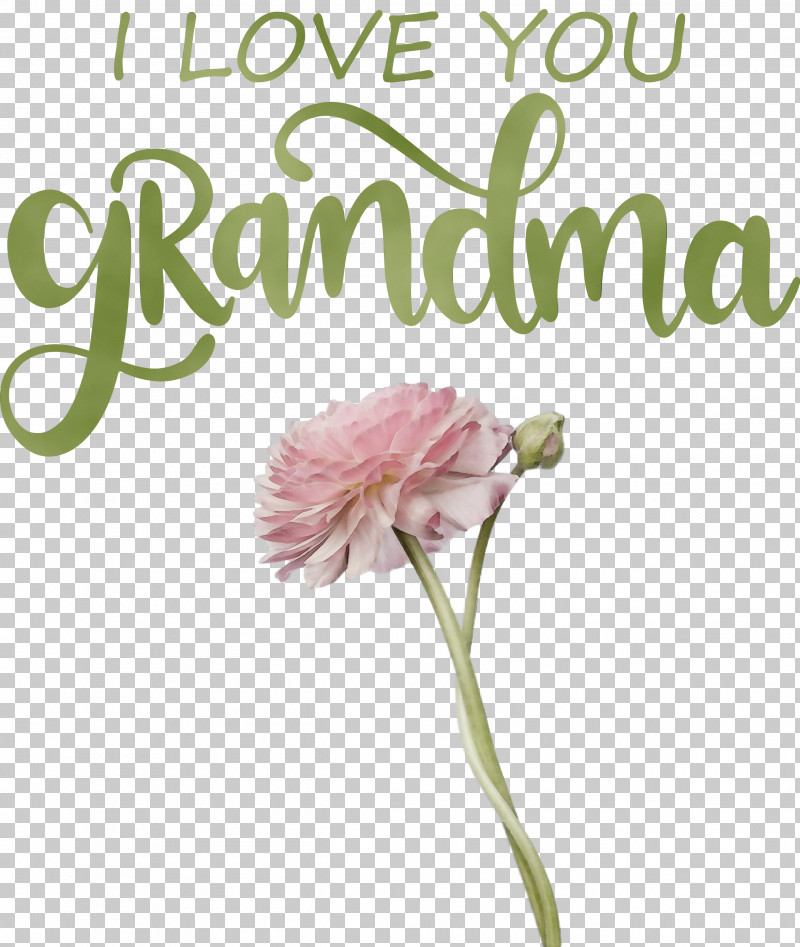 Floral Design PNG, Clipart, Biology, Cut Flowers, Floral Design, Flower, Grandma Free PNG Download