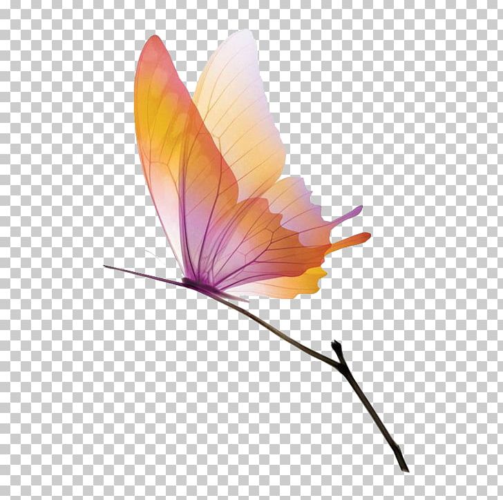 Butterfly Animation Gfycat PNG, Clipart, Arthropod, Branch, Branches, Branches Vector, But Free PNG Download