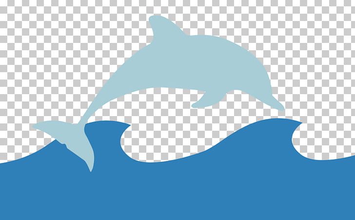 Common Bottlenose Dolphin Tucuxi Animal Polar Bear PNG, Clipart, Animal, Bear, Birth, Blue, Bottlenose Dolphin Free PNG Download
