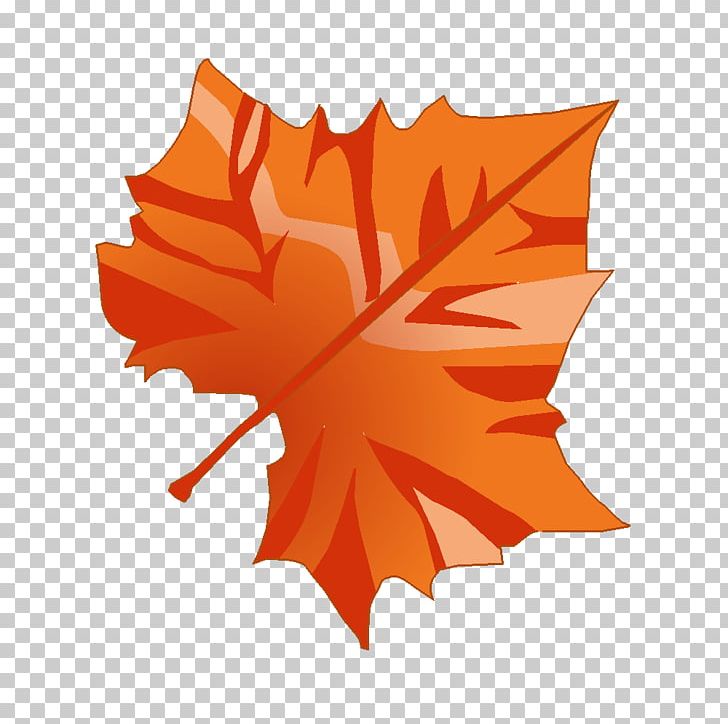 Maple Leaf Technical Drawing PNG, Clipart, Drawing, Educational Game, English, Flower, Flowering Plant Free PNG Download