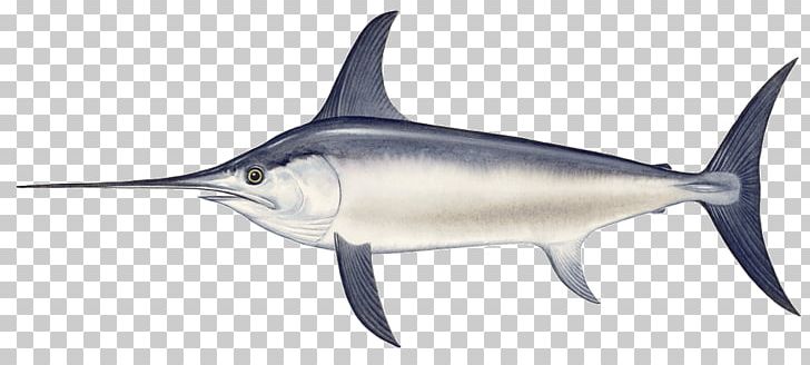 Swordfish Marlin Fishing Harpoon PNG, Clipart, Bony Fish, Cartilaginous Fish, Empresa, Export, Fauna Free PNG Download
