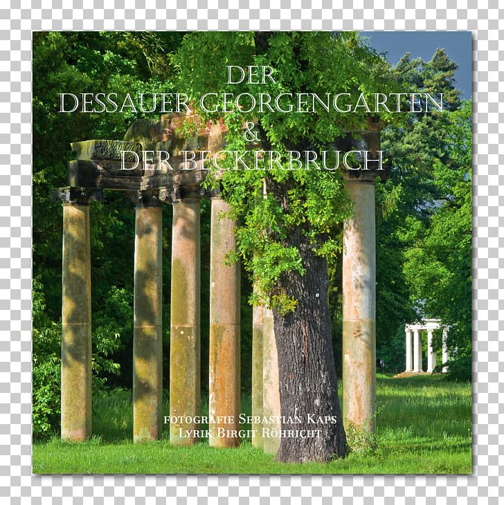 Dessau-Wörlitz Garden Realm Fantasy Factory Bauhaus Dessau Column PNG, Clipart, Archaeological Site, Book, Column, Dessau, Garden Free PNG Download