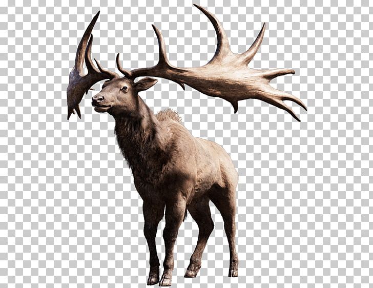 Far Cry Primal Far Cry 5 Far Cry 3 PlayStation 4 Far Cry 4 PNG, Clipart, Antler, Cattle Like Mammal, Deer, Deers, Elk Free PNG Download