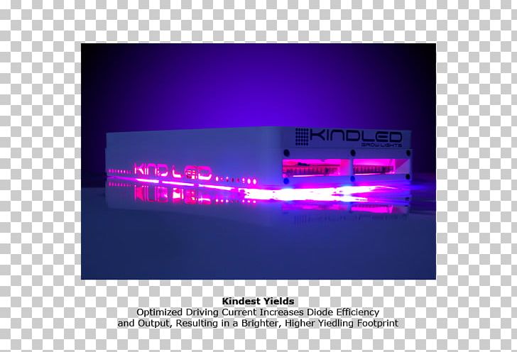 Light-emitting Diode Ledgrowers.be Display Device Lamp PNG, Clipart, Advertising, Belgium, Brand, Child, Common Couch Free PNG Download