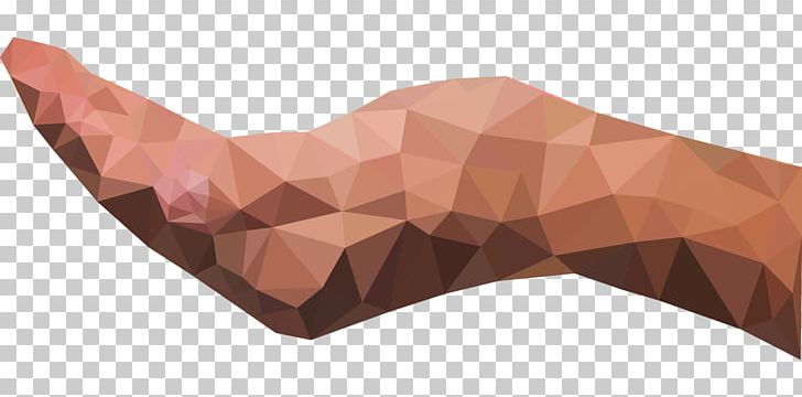 Low Poly PNG, Clipart, 3d Computer Graphics, Angle, Computer Icons, Document, Geometric Free PNG Download