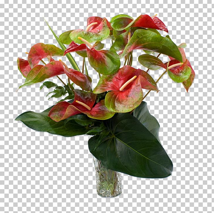 Anthurium Andraeanum Easter Lily Flower Rose Plant PNG, Clipart, Anthurium Andraeanum, Artificial Flower, Arumlily, Cut Flowers, Easter Lily Free PNG Download