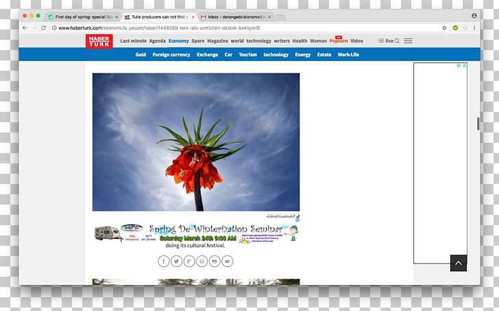 Web Page Video Multimedia PNG, Clipart, Brand, First Day Of Spring, Media, Multimedia, Screenshot Free PNG Download