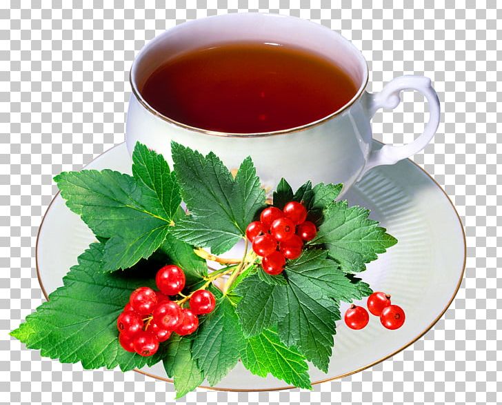 Green Tea Redcurrant Berry Zante Currant PNG, Clipart, Aquifoliaceae, Berry, Cranberry, Currant, Food Free PNG Download