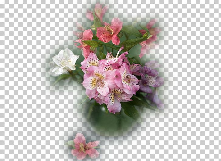 Lily Of The Incas Cut Flowers Floral Design Flower Bouquet PNG, Clipart, Alstroemeriaceae, Blossom, Cut Flowers, Floral Design, Flower Free PNG Download
