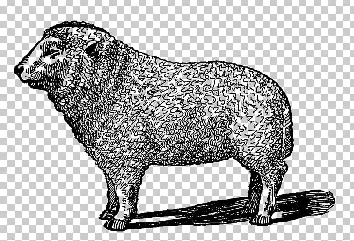 Sheep Cattle Ox Dog Canidae PNG, Clipart, Animal, Animals, Black And White, Canidae, Cattle Free PNG Download