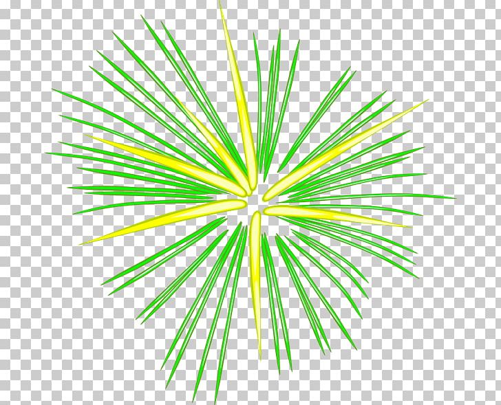 fireworks cartoon png clipart animation animator circle consumer fireworks drawing free png download imgbin com
