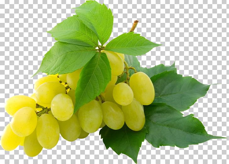 Grape High-definition Television 1080p High-definition Video PNG, Clipart, Concord Grape, Food, Free, Fruit, Fruits Free PNG Download