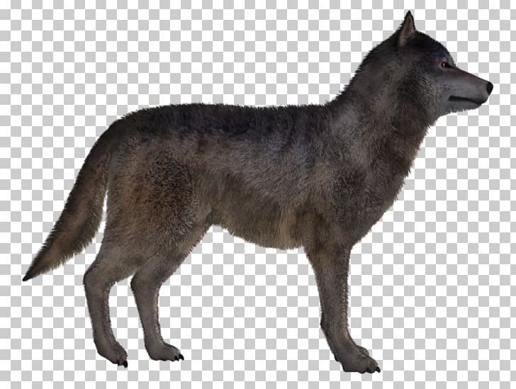 Kunming Wolfdog Snout PNG, Clipart, 3d Computer Graphics, Avatar, Carnivoran, Dog, Dog Breed Free PNG Download