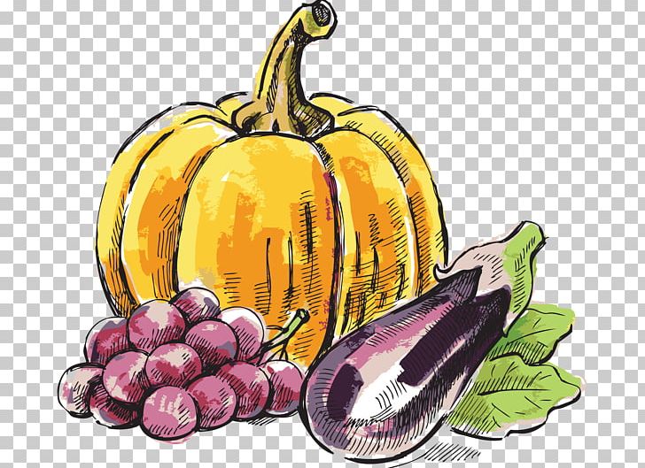 Pumpkin Grape PNG, Clipart, Banana Family, Cucurbita, Drawing, Food, Fruit Free PNG Download