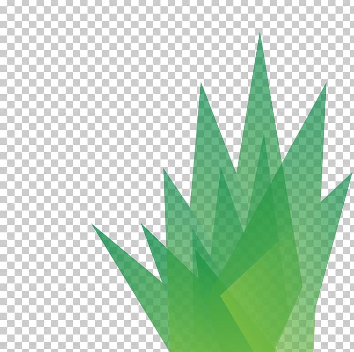 Leaf Angle PNG, Clipart, Angle, Grass, Green, Leaf, Line Free PNG Download