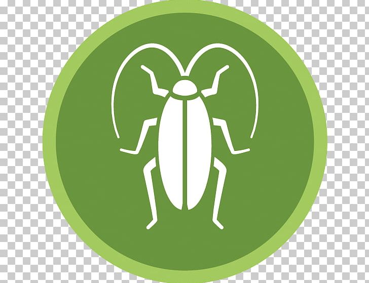 Oriental Cockroach Pest Control Insect PNG, Clipart, Amphibian, Animals, Bed Bug, Circle, Cockroach Free PNG Download