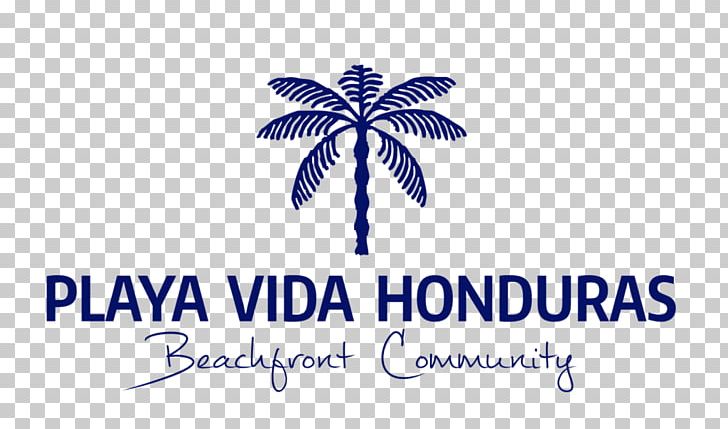 Playa Vida Honduras Beachfront Community HGTV House PNG, Clipart, Beach, Beach House, Brand, Caribbean, Fractional Ownership Free PNG Download