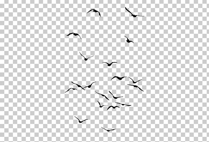 Bird Owl Drawing Flight Flock PNG, Clipart, Angle, Animal, Animal Migration, Animals, Area Free PNG Download
