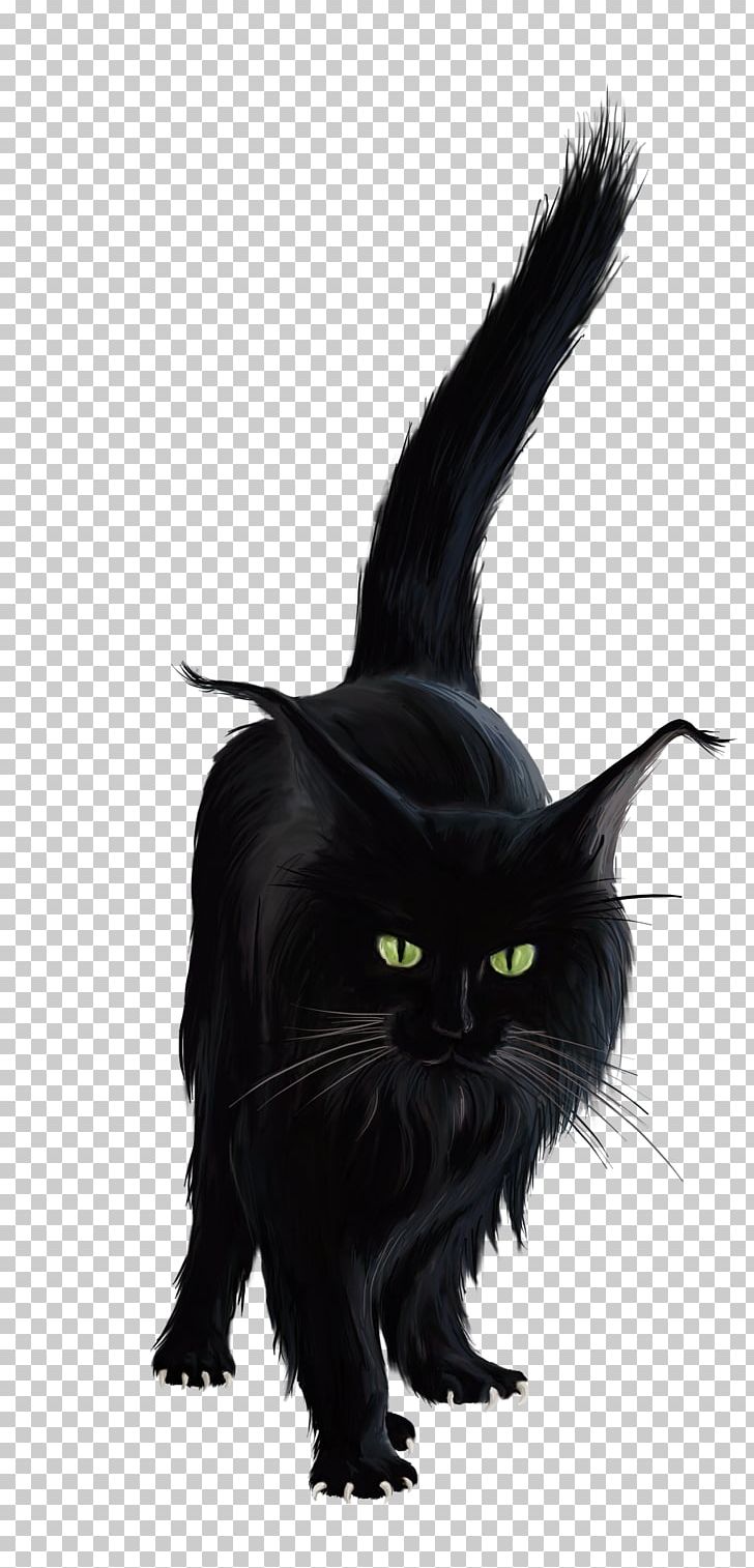 Black Cat Kitten PNG, Clipart, Black Cat, Bombay, Carnivoran, Cat, Cat Like Mammal Free PNG Download