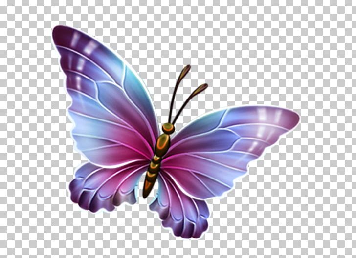 Butterfly PNG, Clipart, Blue, Brush Footed Butterfly, Butterfly, Clip Art, Color Free PNG Download