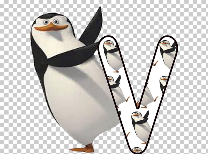 Penguin PNG, Clipart, Animals, Beak, Bird, Computer Icons, Download Free PNG Download