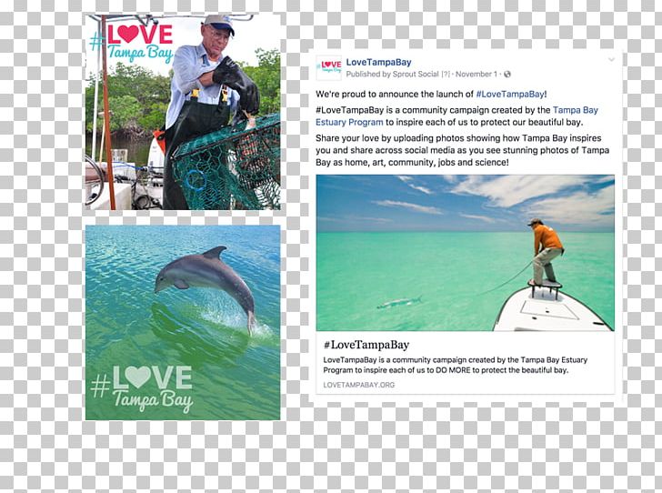 Water Resources Recreation Advertising Vacation PNG, Clipart, Advertising, Brand, Brochure, Dolphin, Hash Tag Free PNG Download