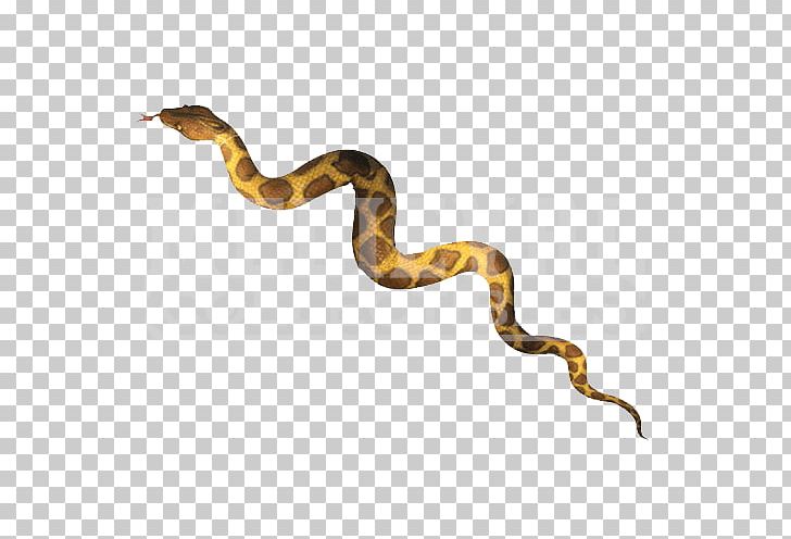 Boa Constrictor Snake Reticulated Python Venom Animal PNG, Clipart, Animal, Animals, Boa Constrictor, Boas, Costume Free PNG Download