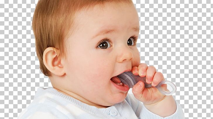 Infant Brush-Baby Chewable Toothbrush & Teether Baby Food PNG, Clipart, Amp, Baby, Baby Bottles, Baby Food, Brush Free PNG Download