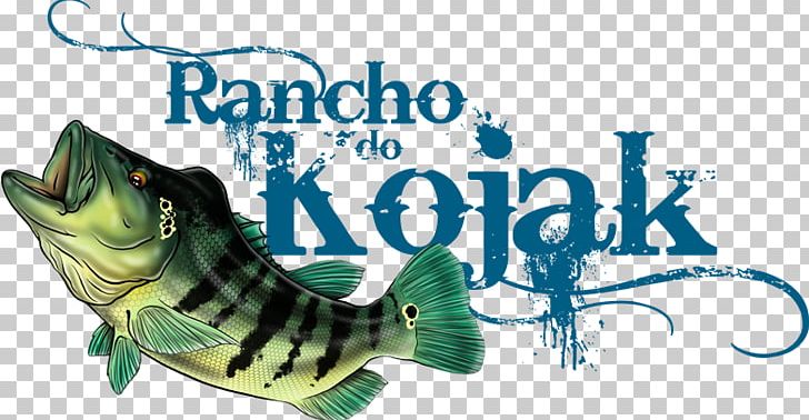 Recreational Fishing Rancho Do Kojak Video PNG, Clipart,  Free PNG Download
