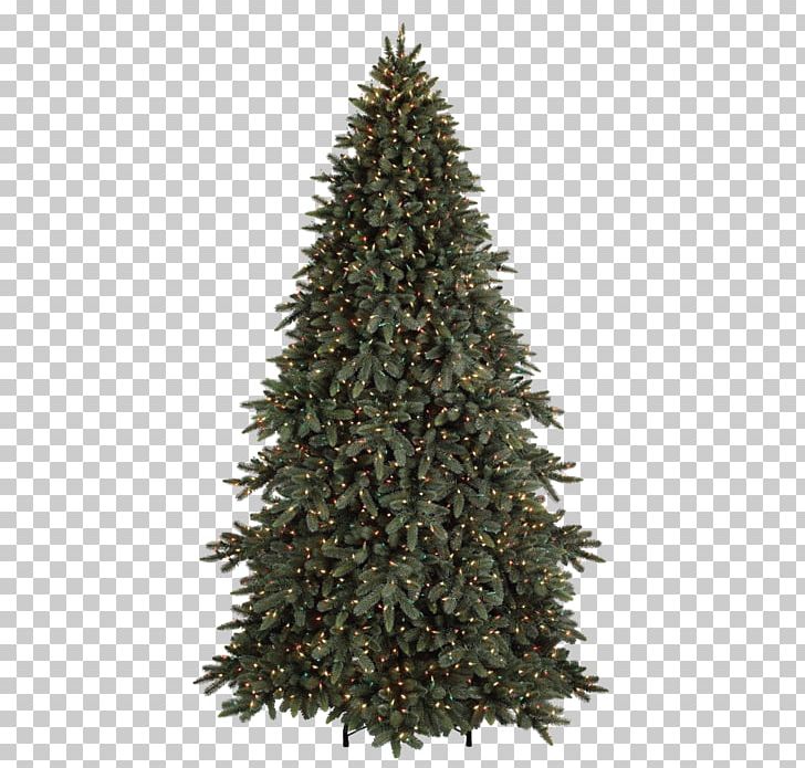 Spruce Christmas Ornament Artificial Christmas Tree Balsam Fir PNG, Clipart, Artificial Christmas Tree, Avatan Plus, Balsam Fir, Balsam Hill, Chris Free PNG Download
