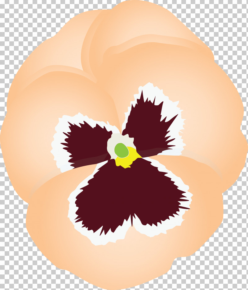 PANSY Spring Flower PNG, Clipart, Cattleya, Flower, Iris, Pansy, Petal Free PNG Download