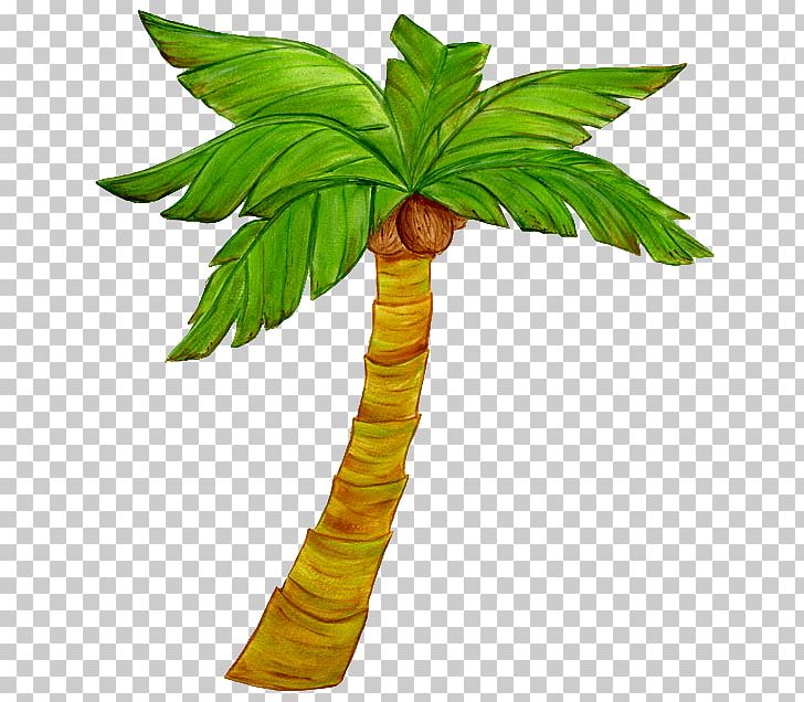 Drawing Painting Cartoon PNG, Clipart, Arecales, Art, Cartoon, Coconut, Drawing Free PNG Download