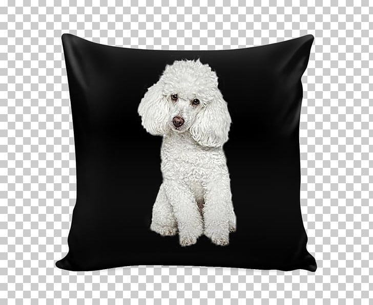 Standard Poodle Dog Breed Pillow Water Dog PNG, Clipart, Animal, Breed, Canidae, Carnivoran, Companion Dog Free PNG Download