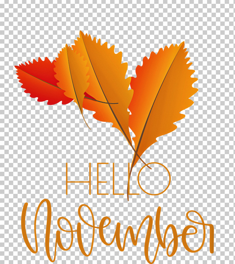Hello November November PNG, Clipart, Apollos Products, Cat Wall Decal, Decal, Floor, Glass Free PNG Download