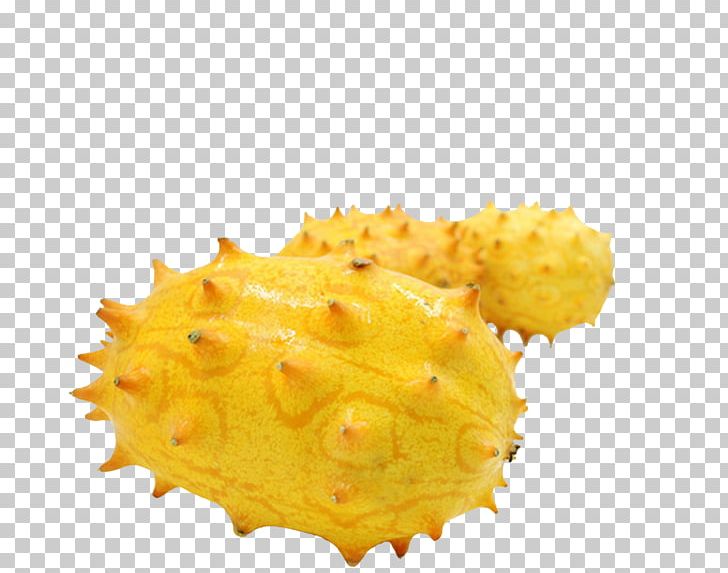 Horned Melon Muskmelon Cucumber Fruit PNG, Clipart, Auglis, Burns, Cucumber, Cucumis, Food Free PNG Download