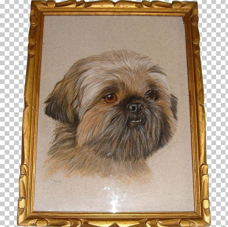 Shih Tzu Griffon Bruxellois Affenpinscher Chinese Imperial Dog Lhasa Apso PNG, Clipart, Affenpinscher, Breed, Carnivoran, China, Chinese Free PNG Download