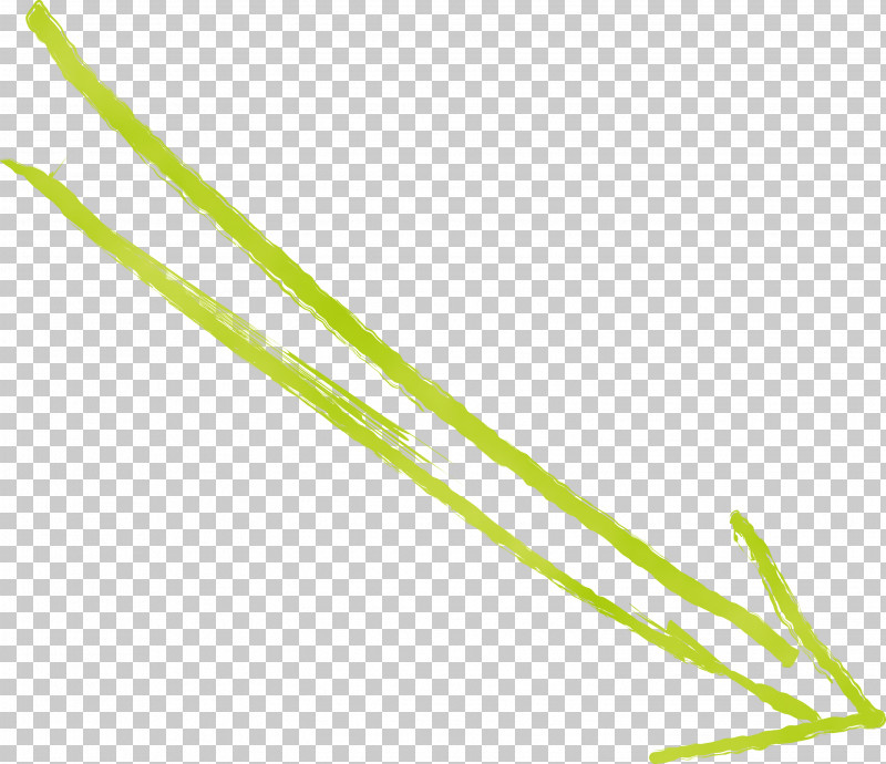 Plant Line Grass Family Plant Stem PNG, Clipart, Grass Family, Hand Drawn Arrow, Line, Paint, Plant Free PNG Download