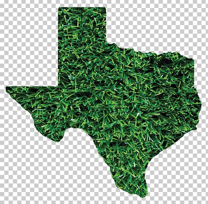 Austin Sprinturf PNG, Clipart, Architectural Engineering, Austin, Business, Camouflage, Company Free PNG Download