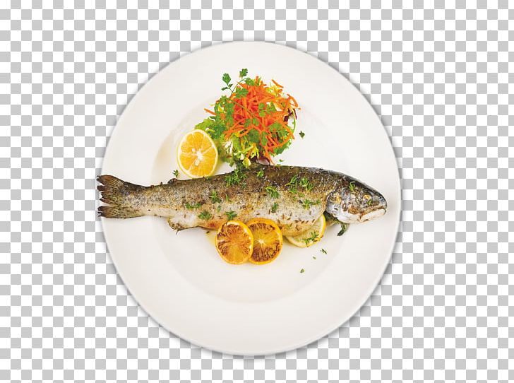 Plate Dish Garnish Recipe Fish PNG, Clipart, Animal Source Foods, Dish, Dishware, Fish, Food Free PNG Download