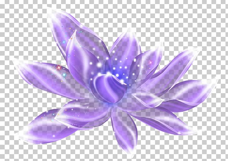 Violet Light Purple PNG, Clipart, Color, Computer Software, Download, Flores, Flower Free PNG Download