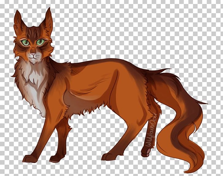Whiskers Red Fox Cat Fauna Fur PNG, Clipart, Animals, Carnivoran, Cartoon, Cat, Cat Like Mammal Free PNG Download