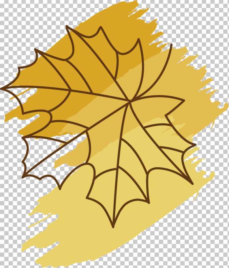 Maple Leaf PNG, Clipart, Biology, Flower, Leaf, Line, Maple Free PNG Download