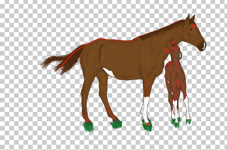 Mule Mustang Foal Stallion Colt PNG, Clipart, Bridle, Colt, Dog Harness, Foal, Halter Free PNG Download