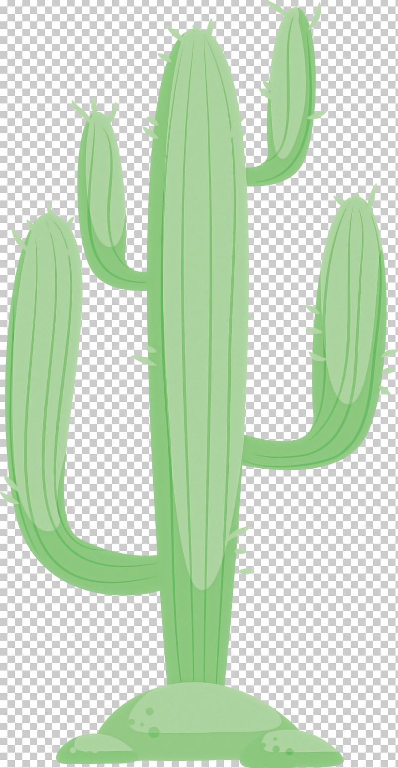 Mexico Element PNG, Clipart, Cactus, Cartoon, Drawing, Flower, Lily Free PNG Download