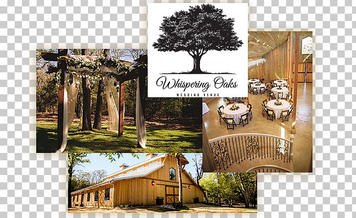 Brand PNG, Clipart, Brand, Home, Outdoor Structure, Plantation, Tree Free PNG Download