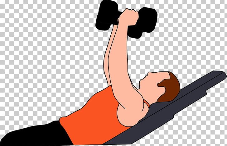 Exercise PNG, Clipart, Angle, Arm, Dumbbell, Exercise, Fitness Centre Free PNG Download